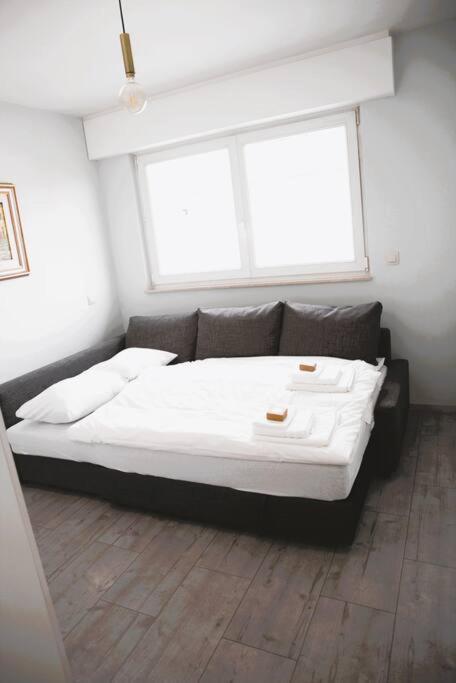 Charming Modern 2 Bedroom Apartment Alzingen Kültér fotó
